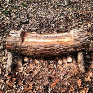 bench carved from log
