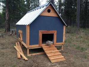New Chicken Coop made from Pine and Metal roofing.